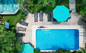 Wide Mouth Frog Quepos